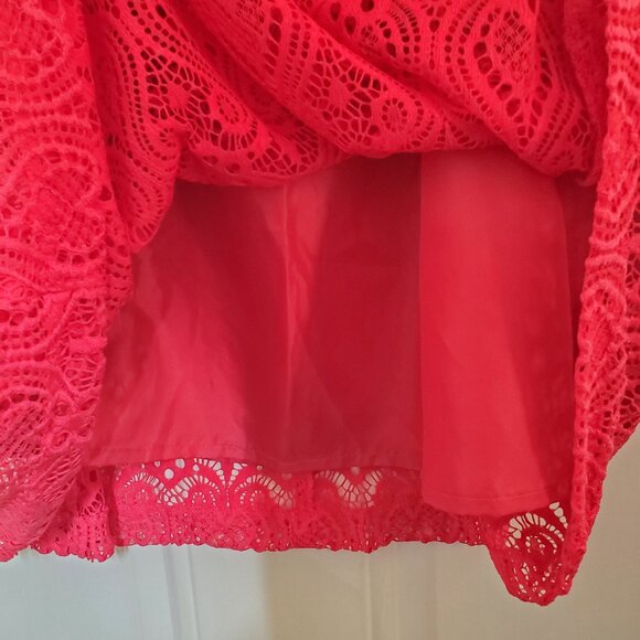 Eva Mendes Embroidered Lace Hot Pink A-Line Dress Sz 10 - Picture 6 of 10